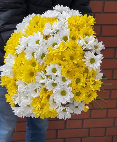 Купить букет из разноцветных хризантем с доставкой по Красноярску